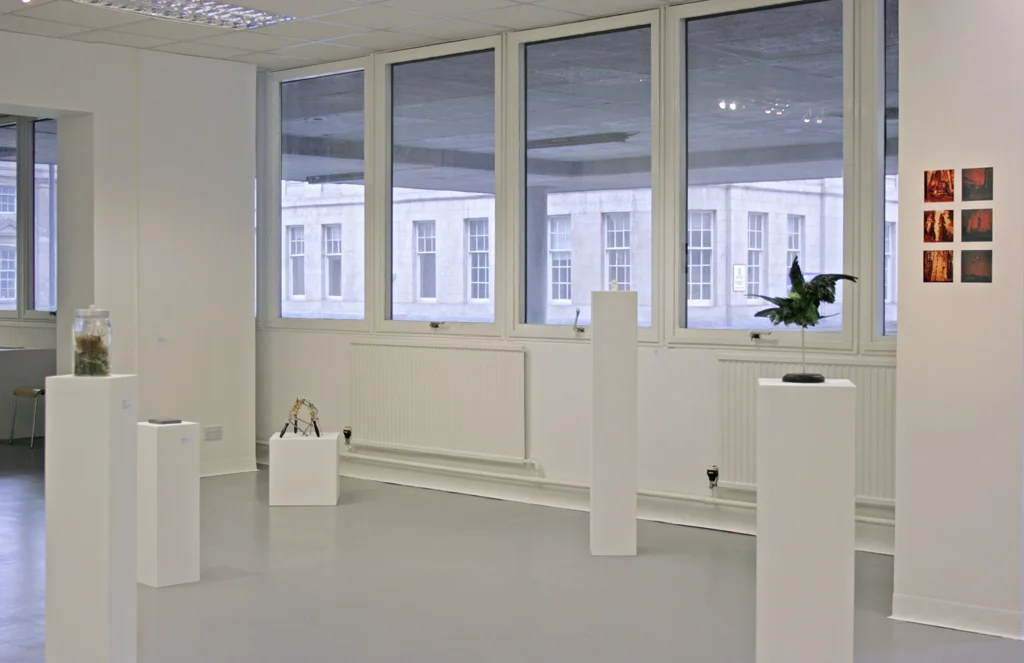‘Exposing Form’, 2017, installation view