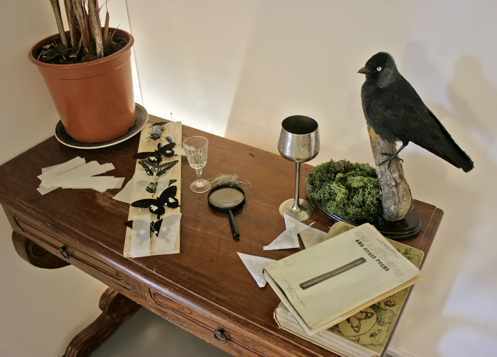 ‘Exposing Form’, 2017, installation view