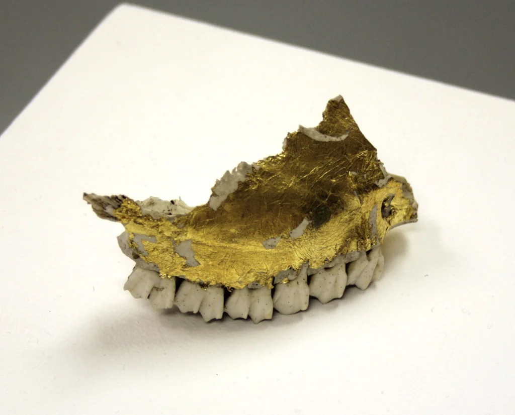 Sherene Scott, Moth Studios (jaw), 2016, jaw bone and gold leaf, 5x9x4cm