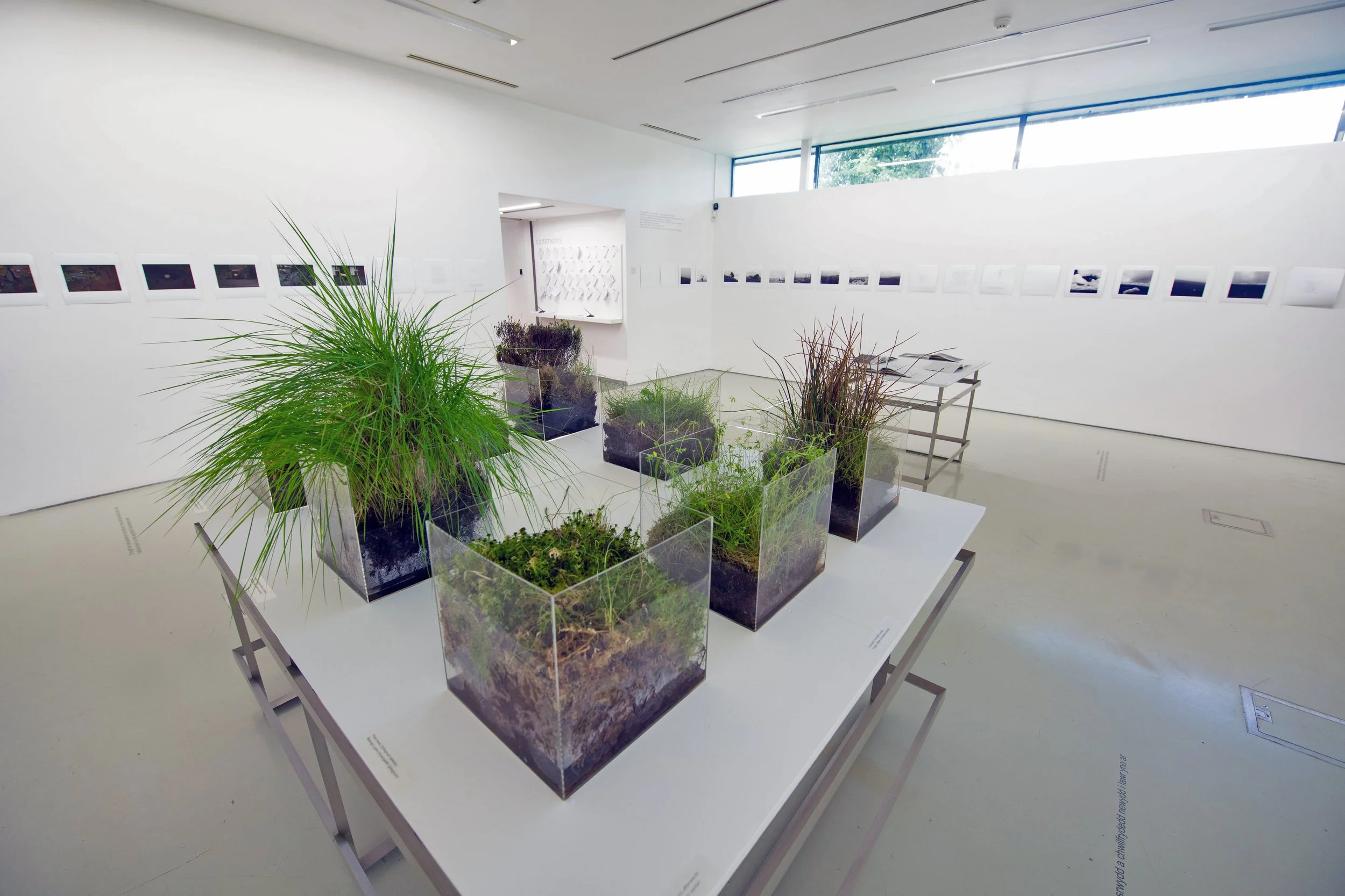 ‘Crossed Paths – Sheep’, solo exhibition, Oriel Davies Gallery, Newtown, 2018. Photo: Keith Morris