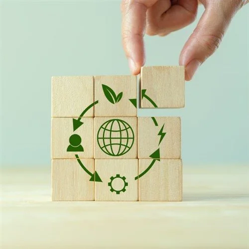 The Butterfly Diagram