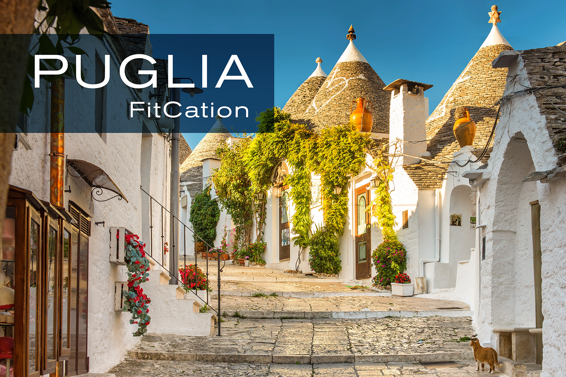 TBA_Fitcations_Puglia.png
