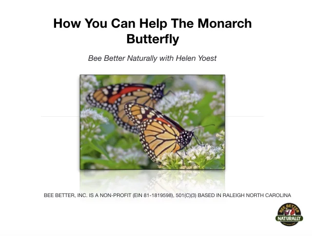 How+YOU+can+raise+Monarch+Butterflies.jpg