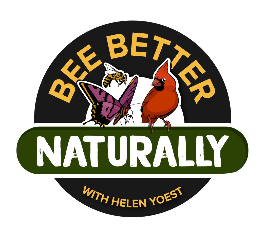 Bee-Better-Logo-Transparent-Background.png