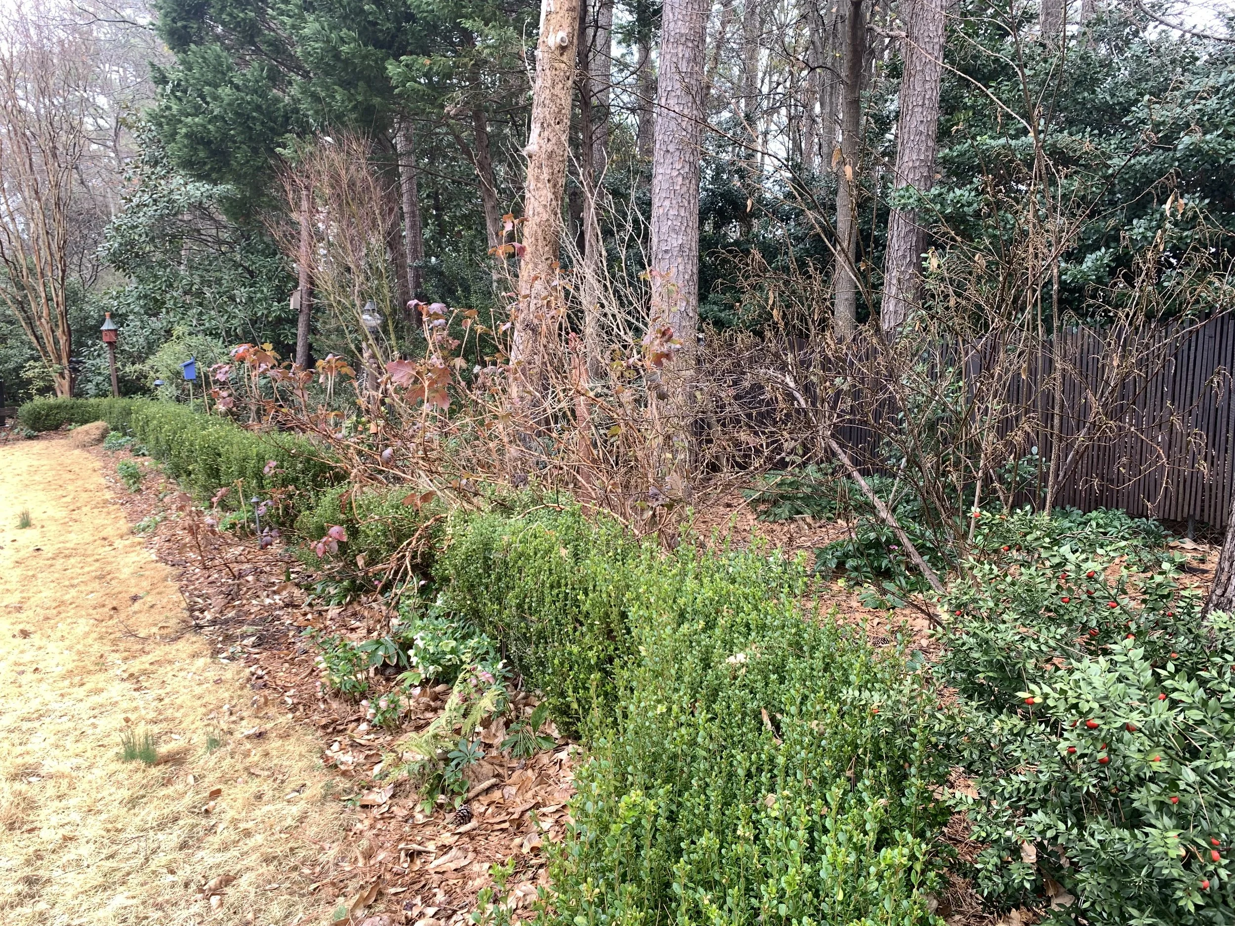 IMG_1973.jpeg