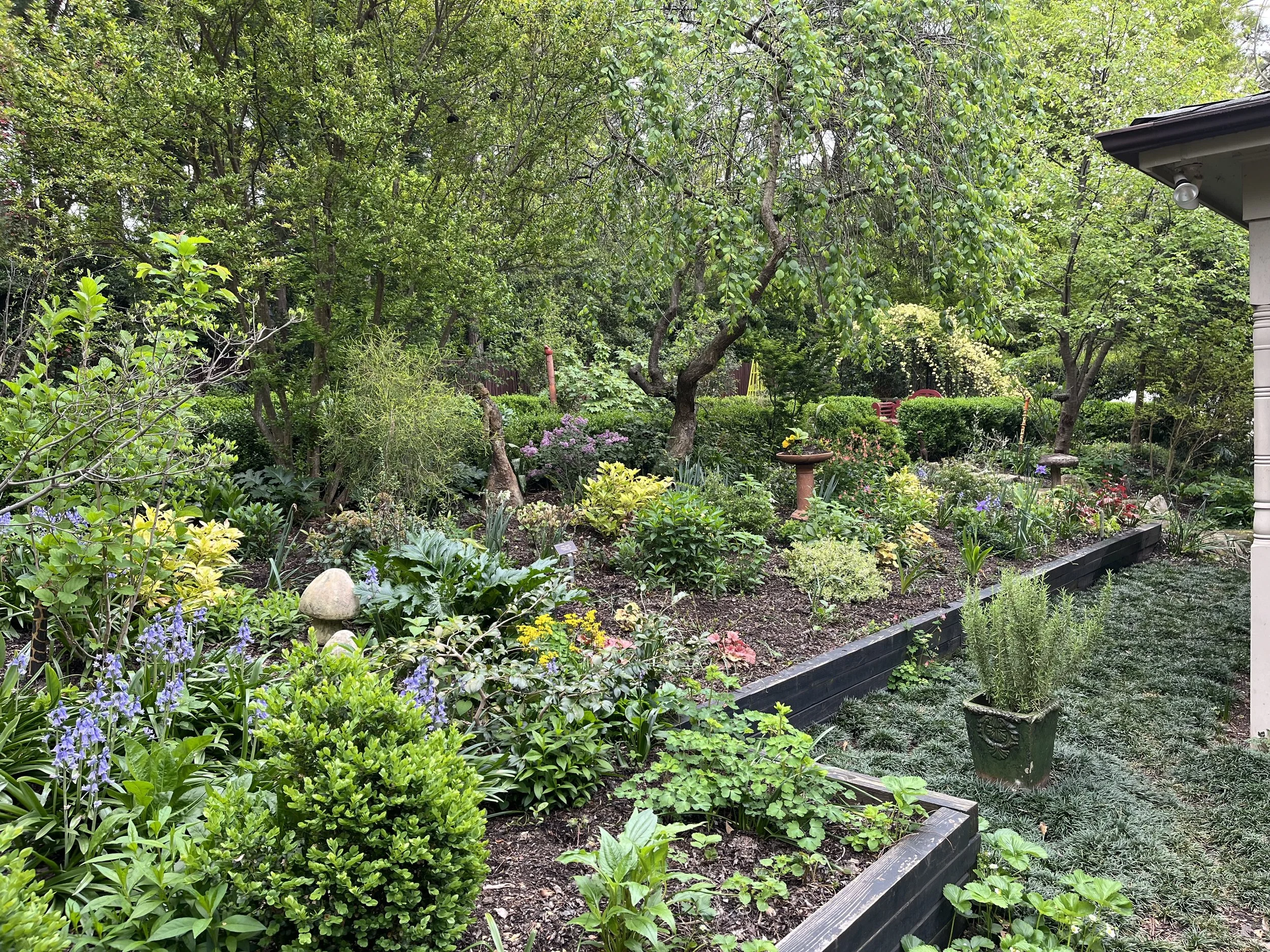 2024  May Bee Better Teaching Garden
