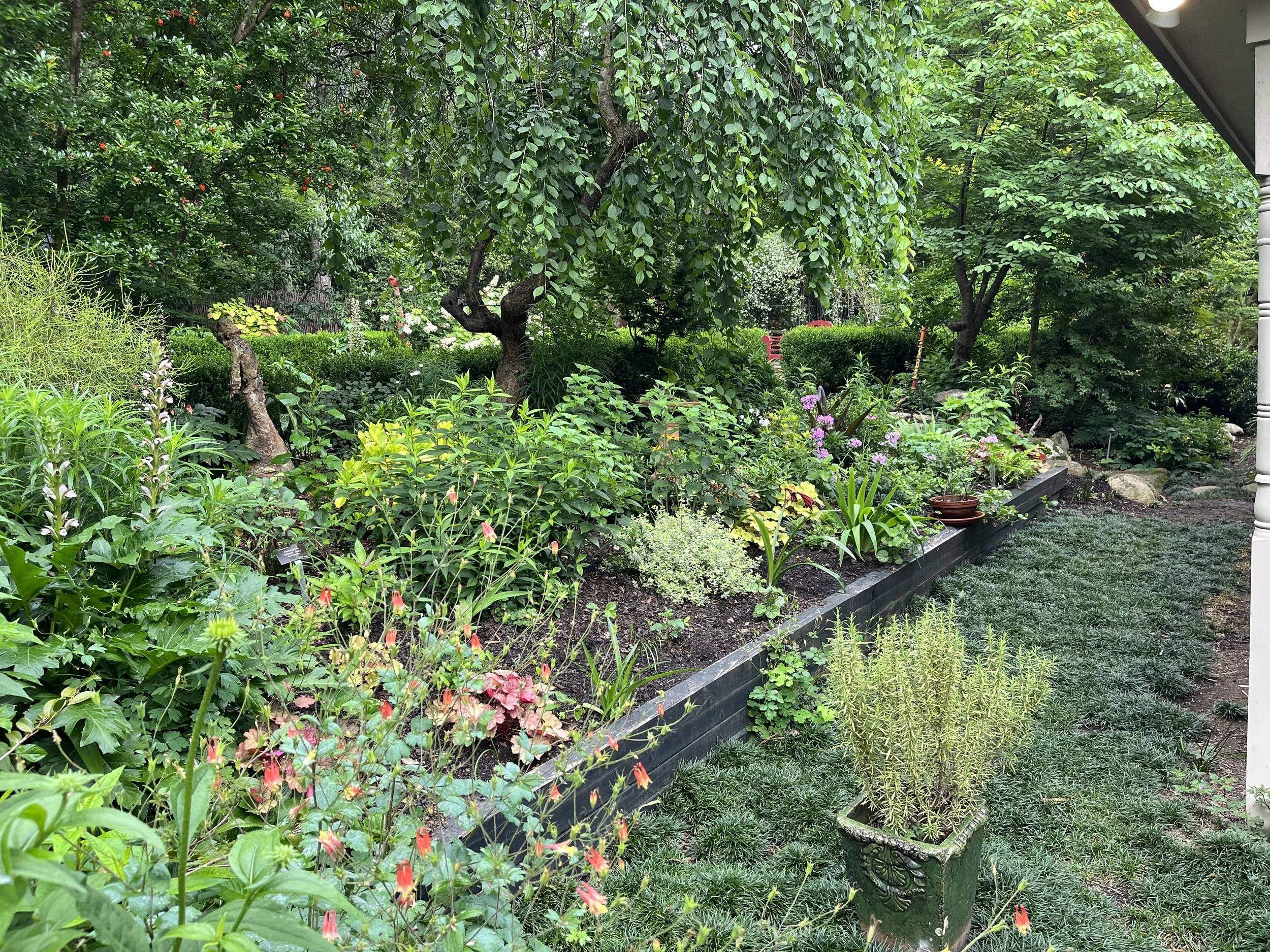 2024  June Bee Better Teaching Garden