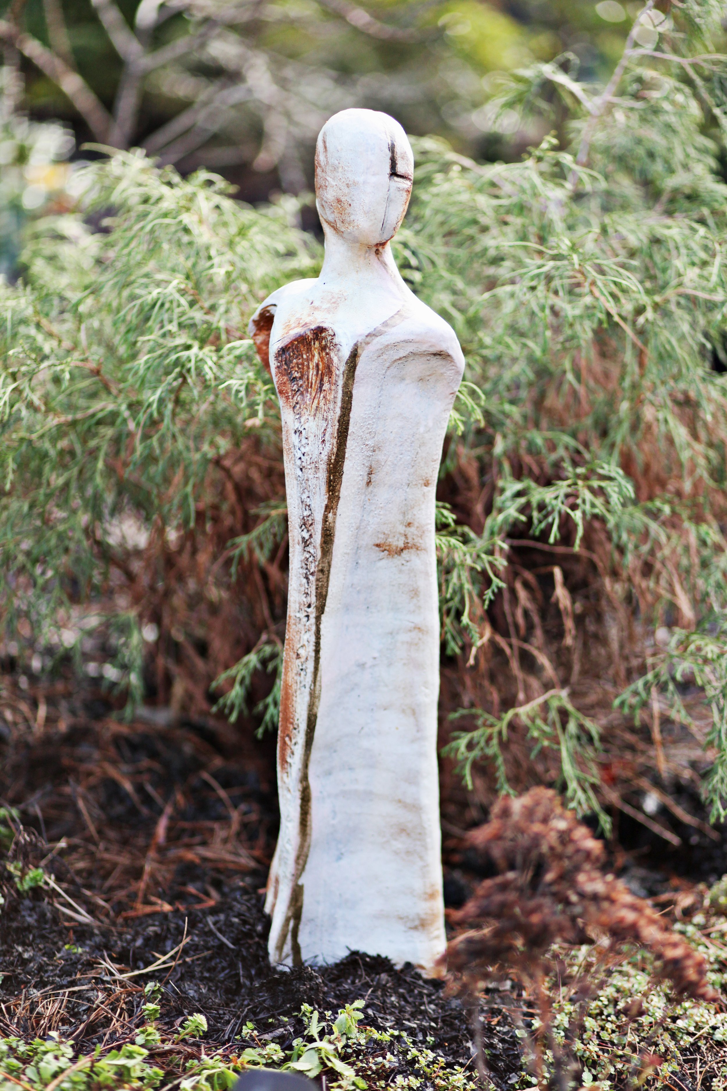 Garden Dilemmas, Delights & Discoveries, Ask Mary Stone Birch Tree's  Strength in Flexibility - Garden Dilemmas, Delights & Discoveries, Ask Mary  Stone