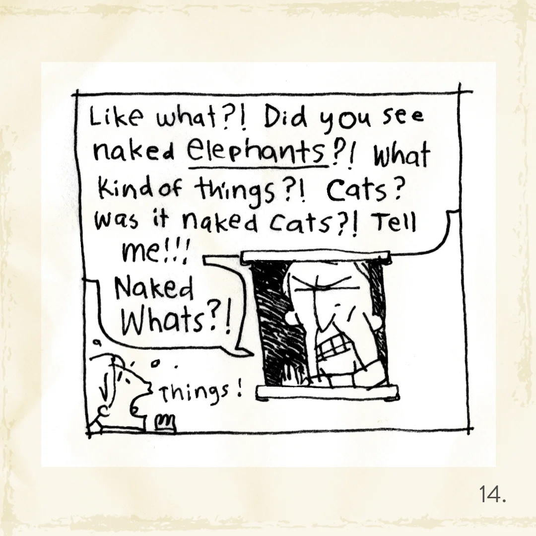 stories 3.14.jpg