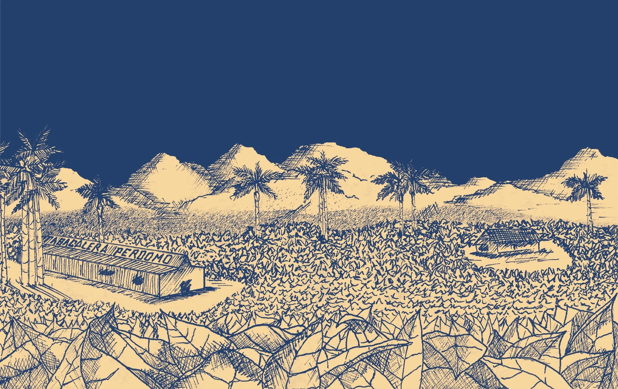 Lot23-banner2.jpg