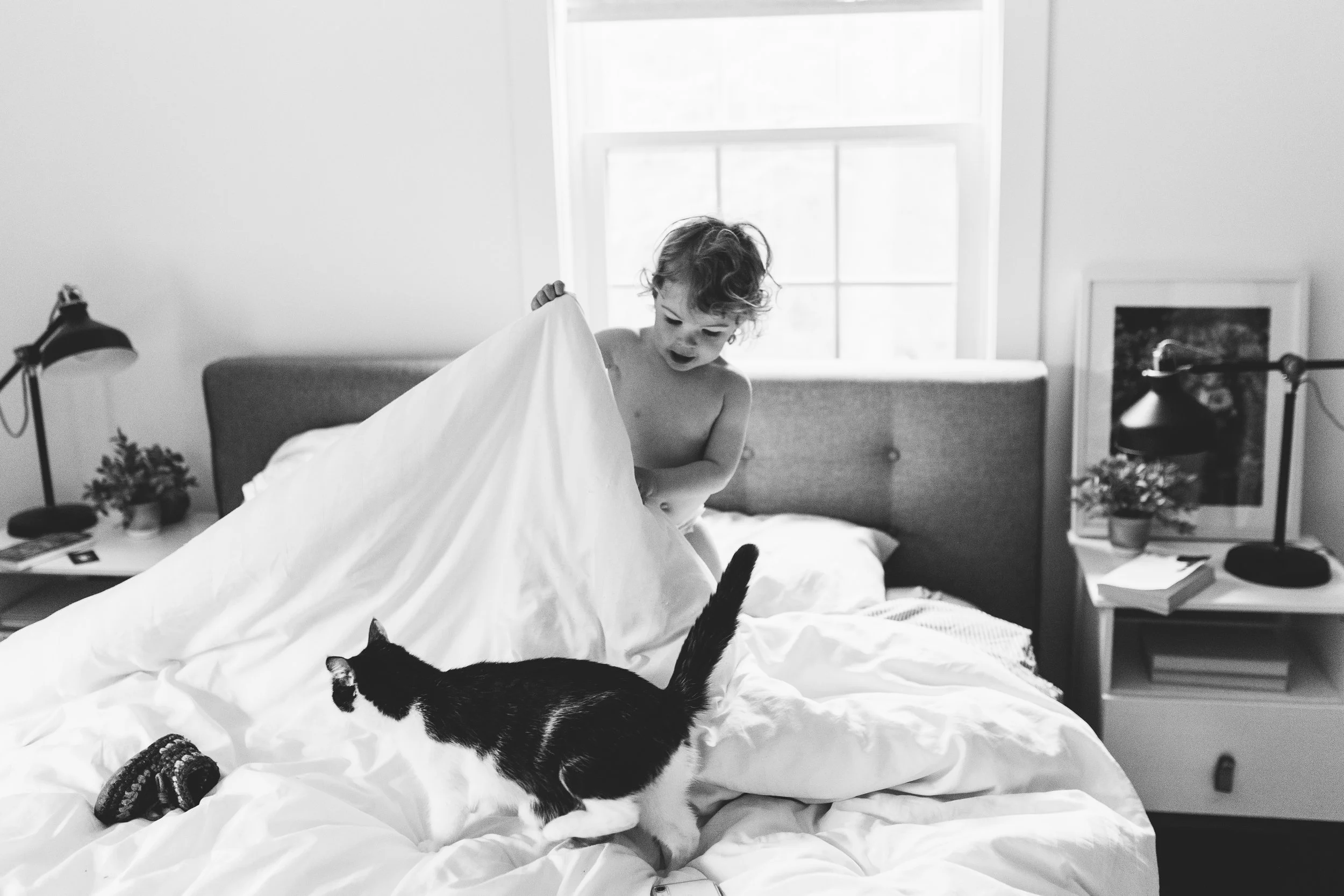 #mudnemumdays: week 13