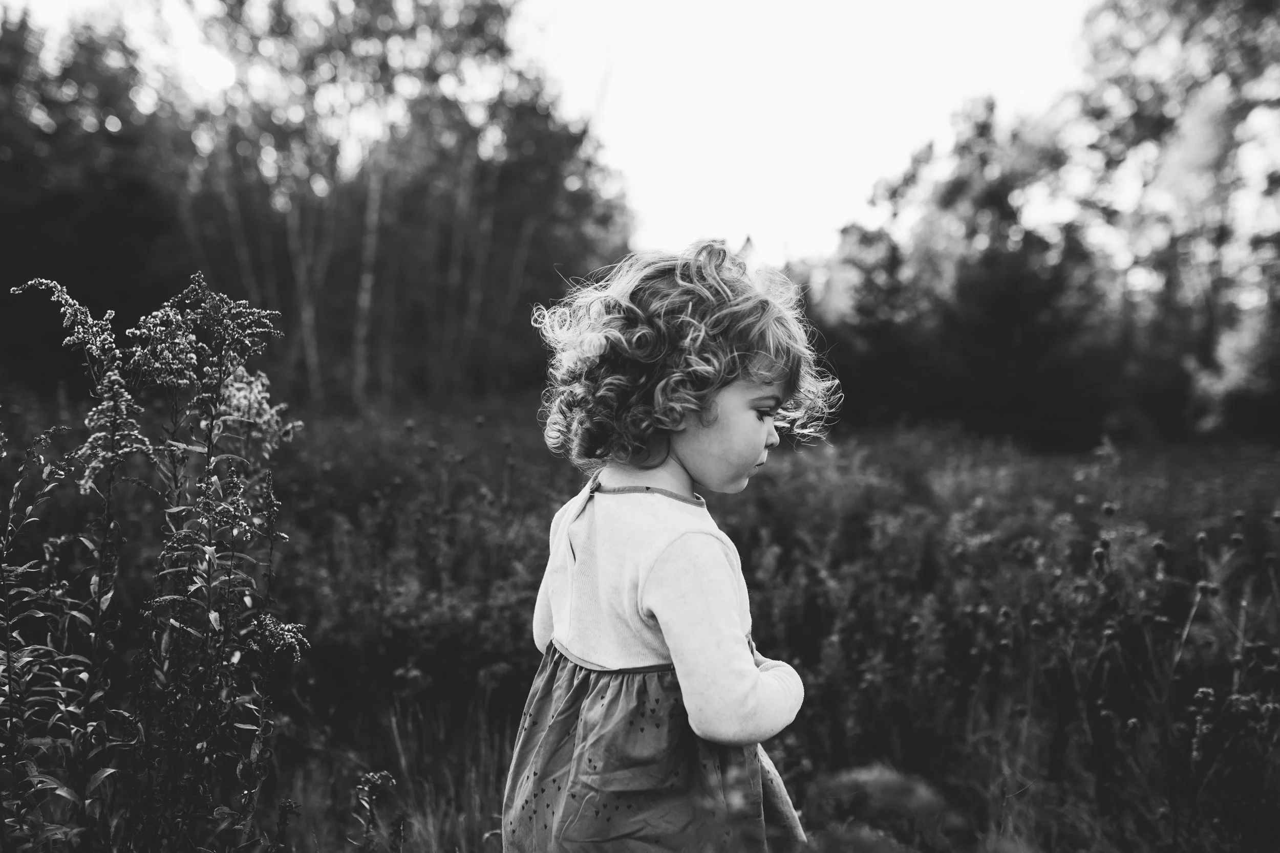 DIY Family Photos