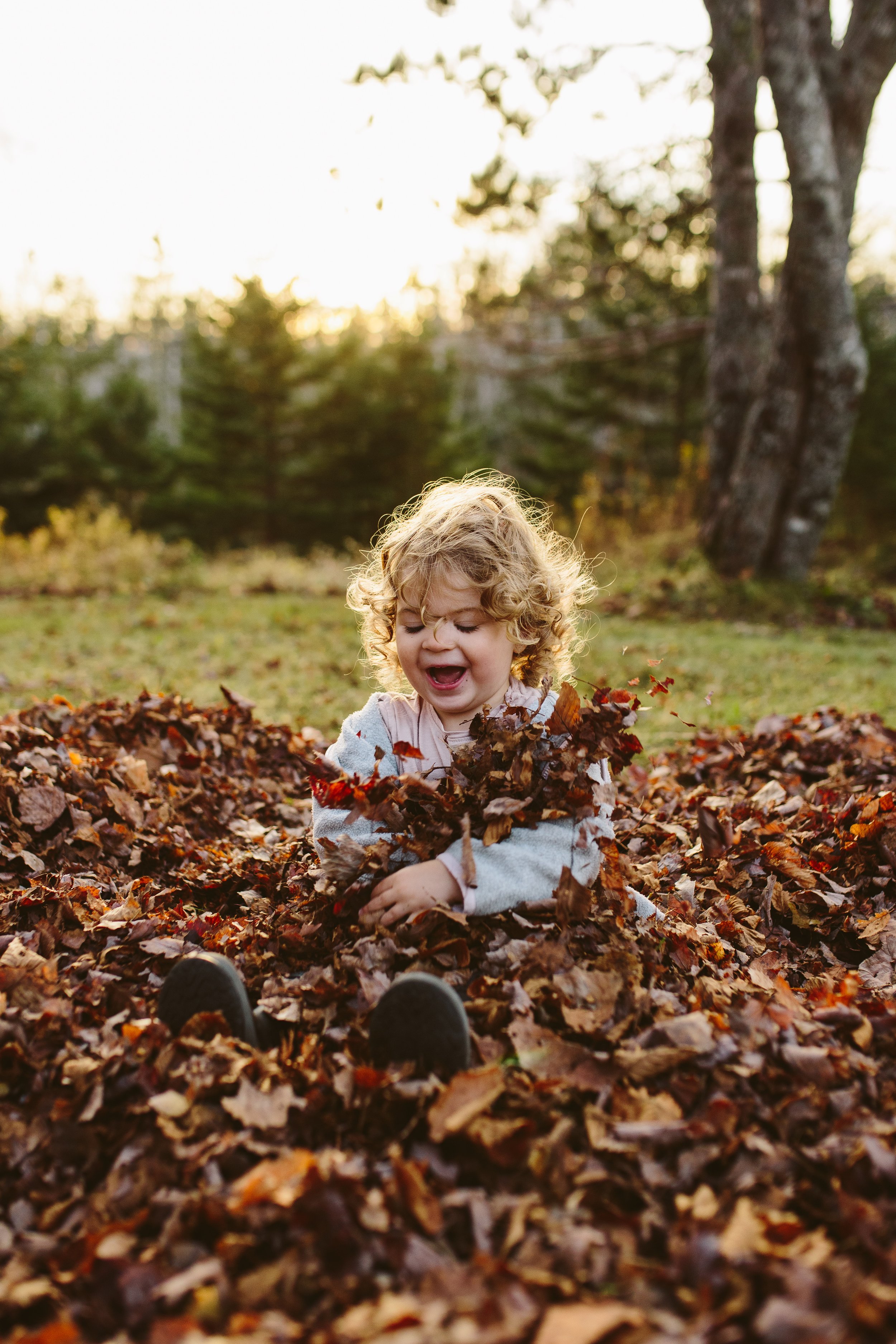November leaves 