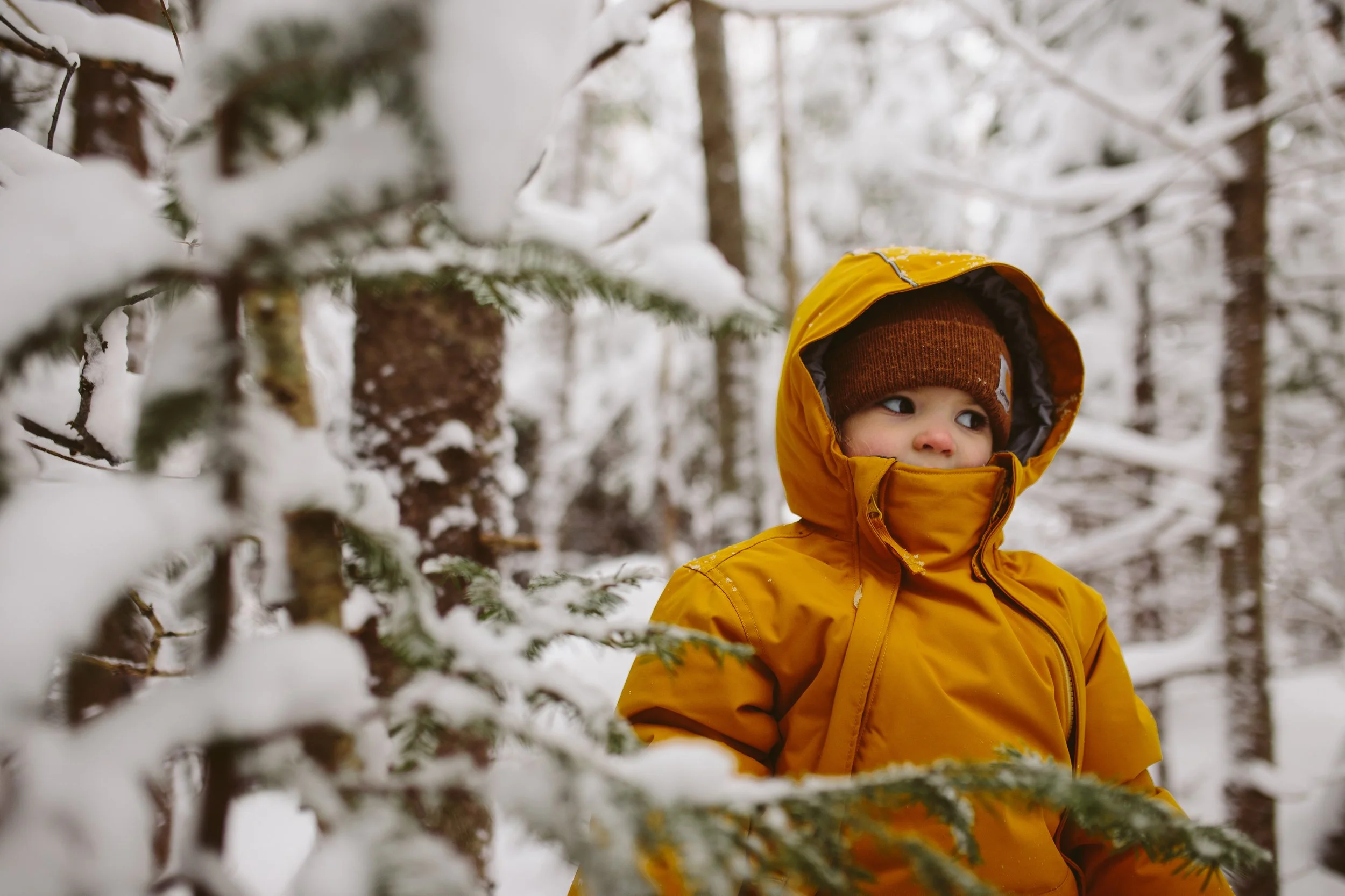Sled Walking in a Winter Wonderland