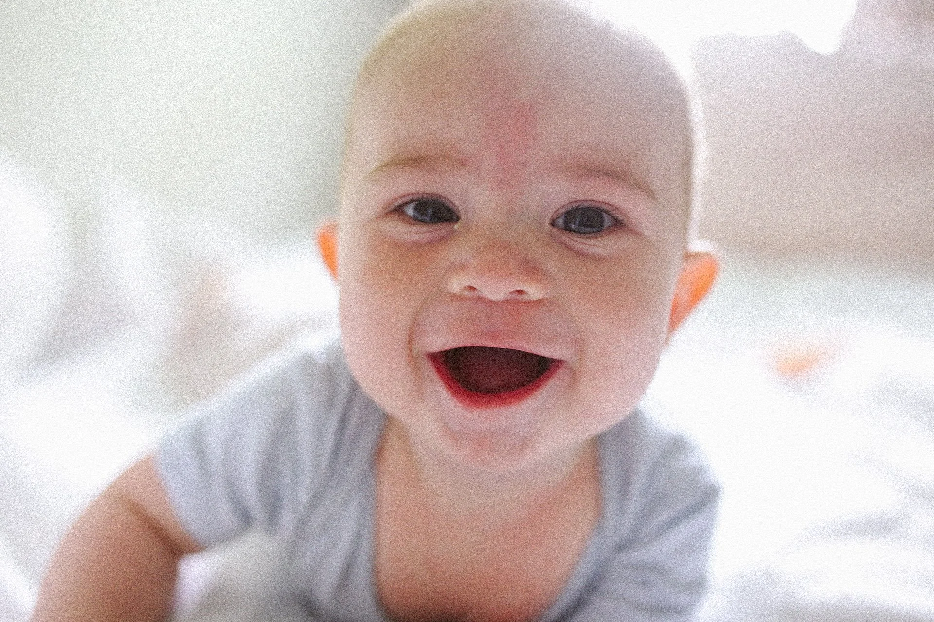 *Almost* Five Months of Milo