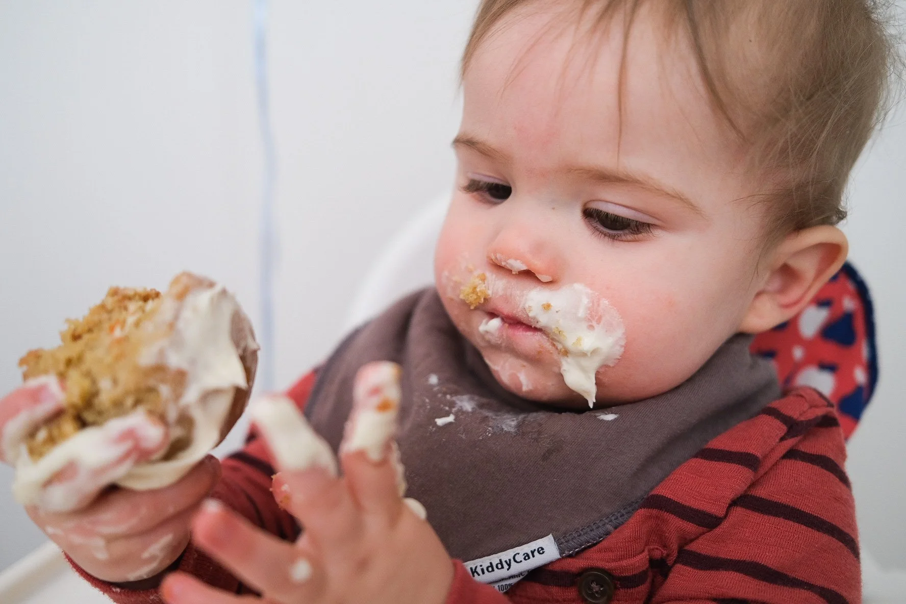 Happy 1st Birthday Milo! 