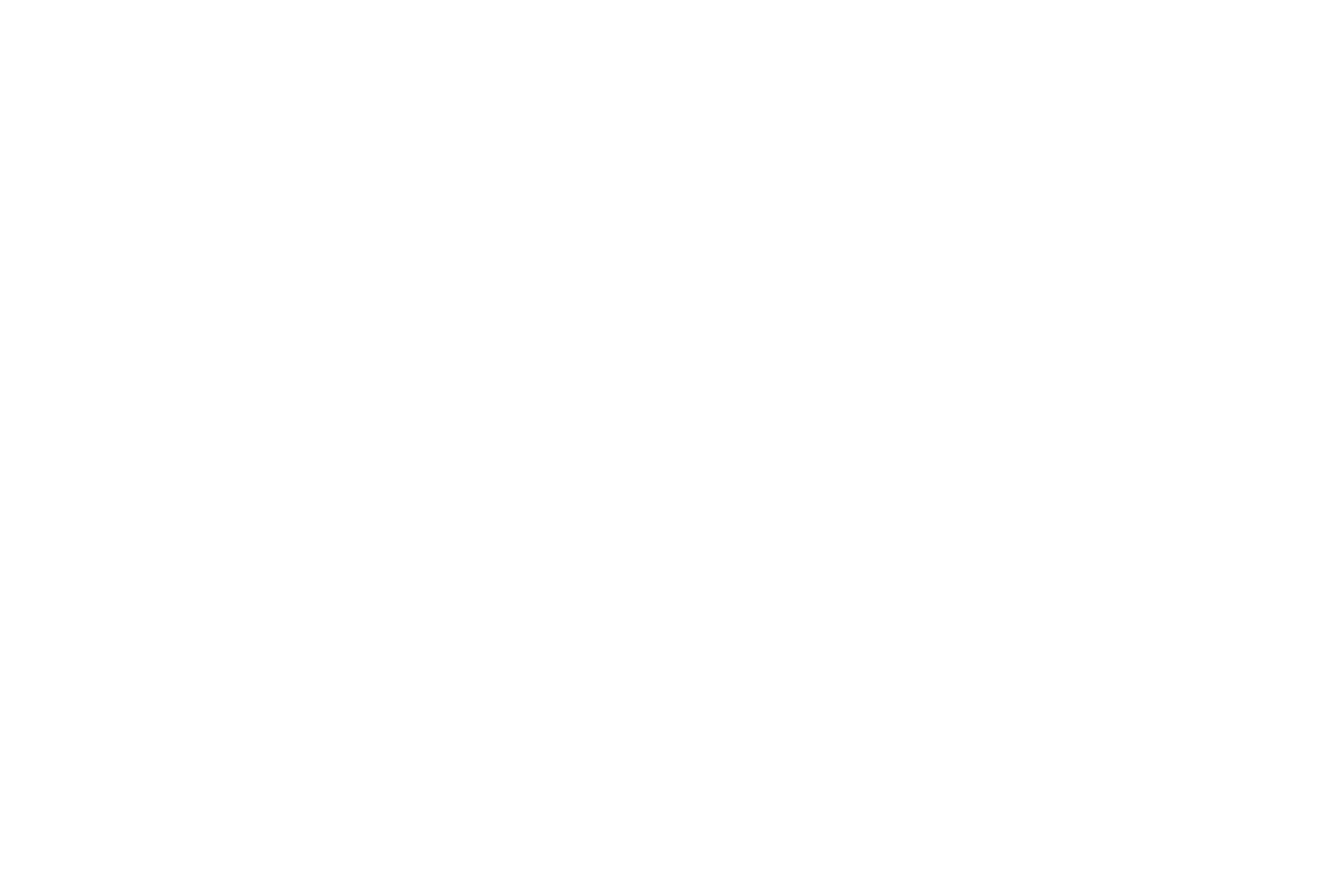 orange segment.png