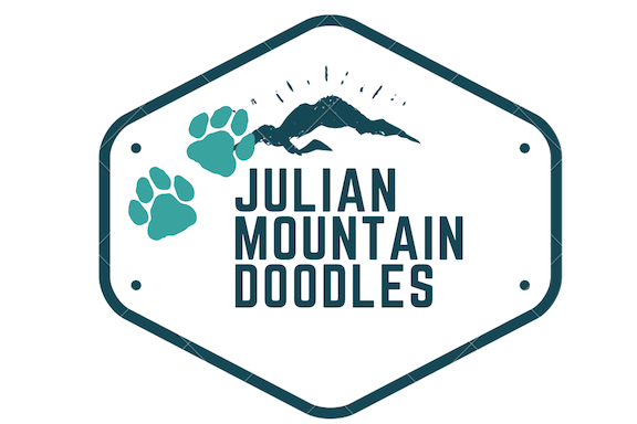     Julian Mountain Doodles