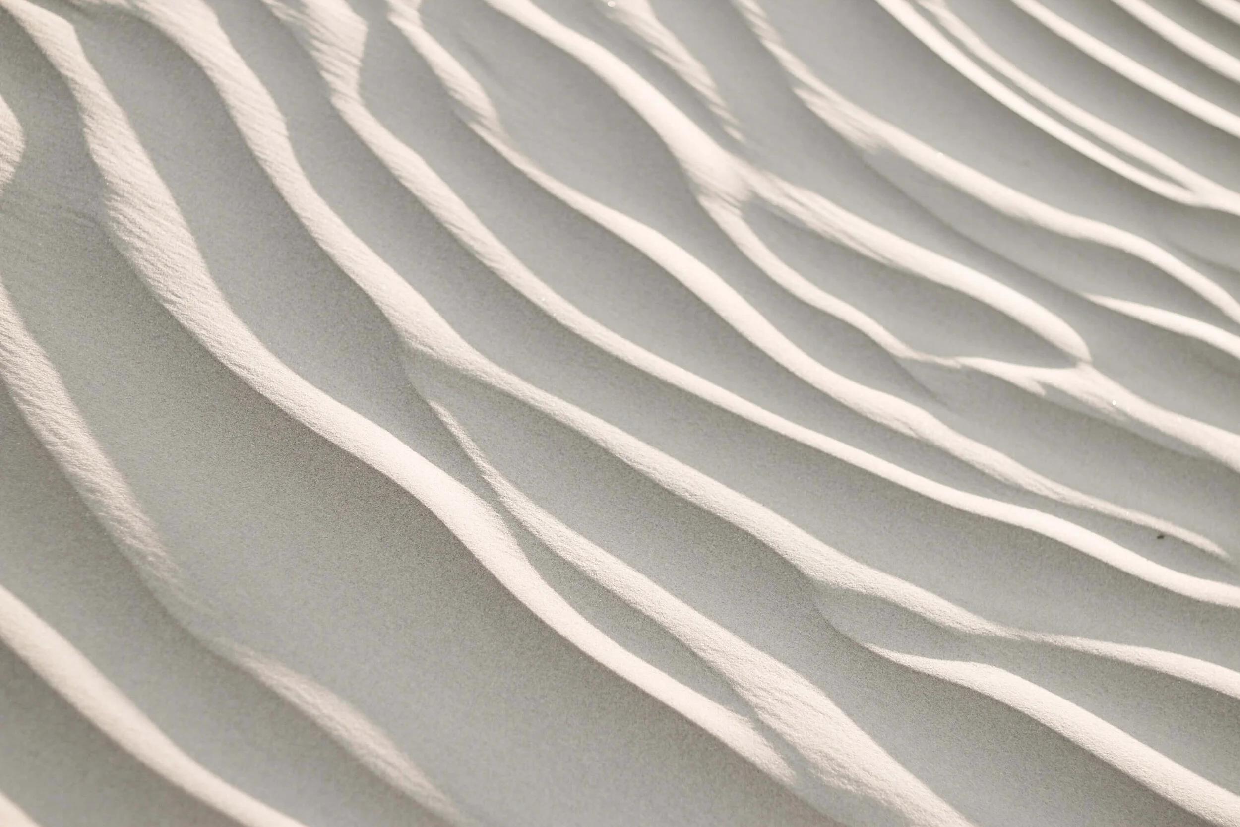 organic patterns in nature.jpg