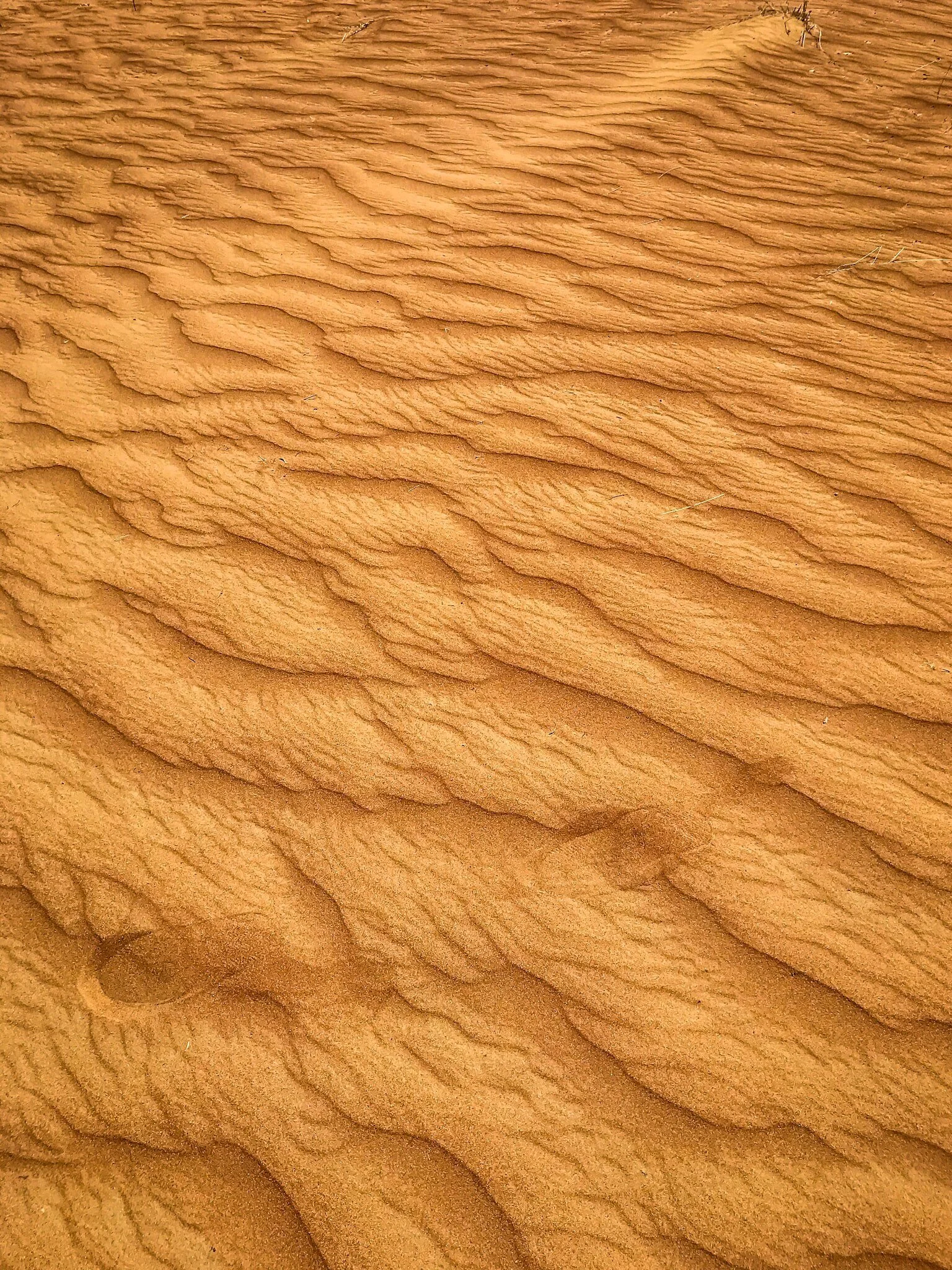 natural sand patterns.jpg