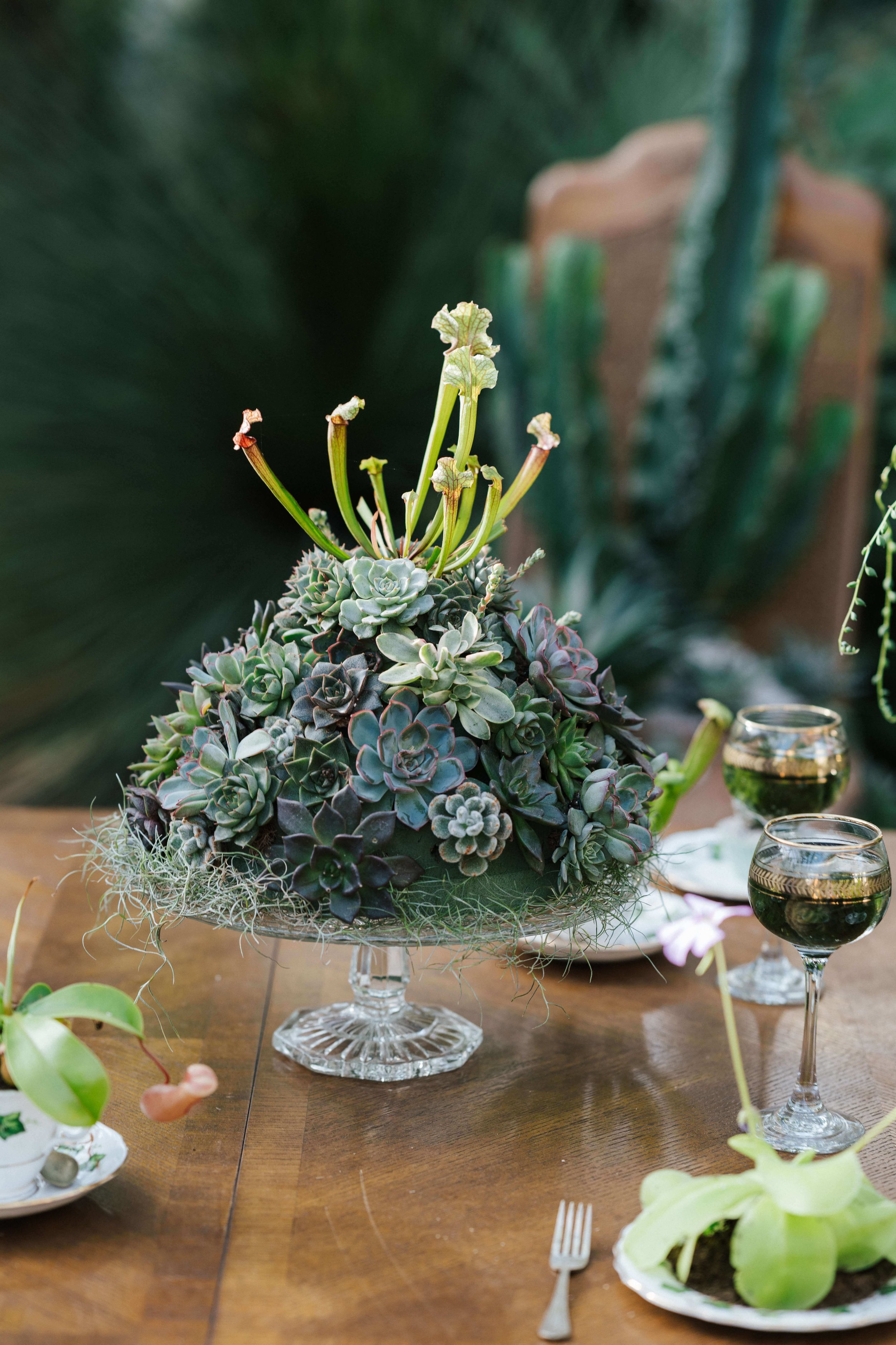 succulents and table coastal style decoration.jpg