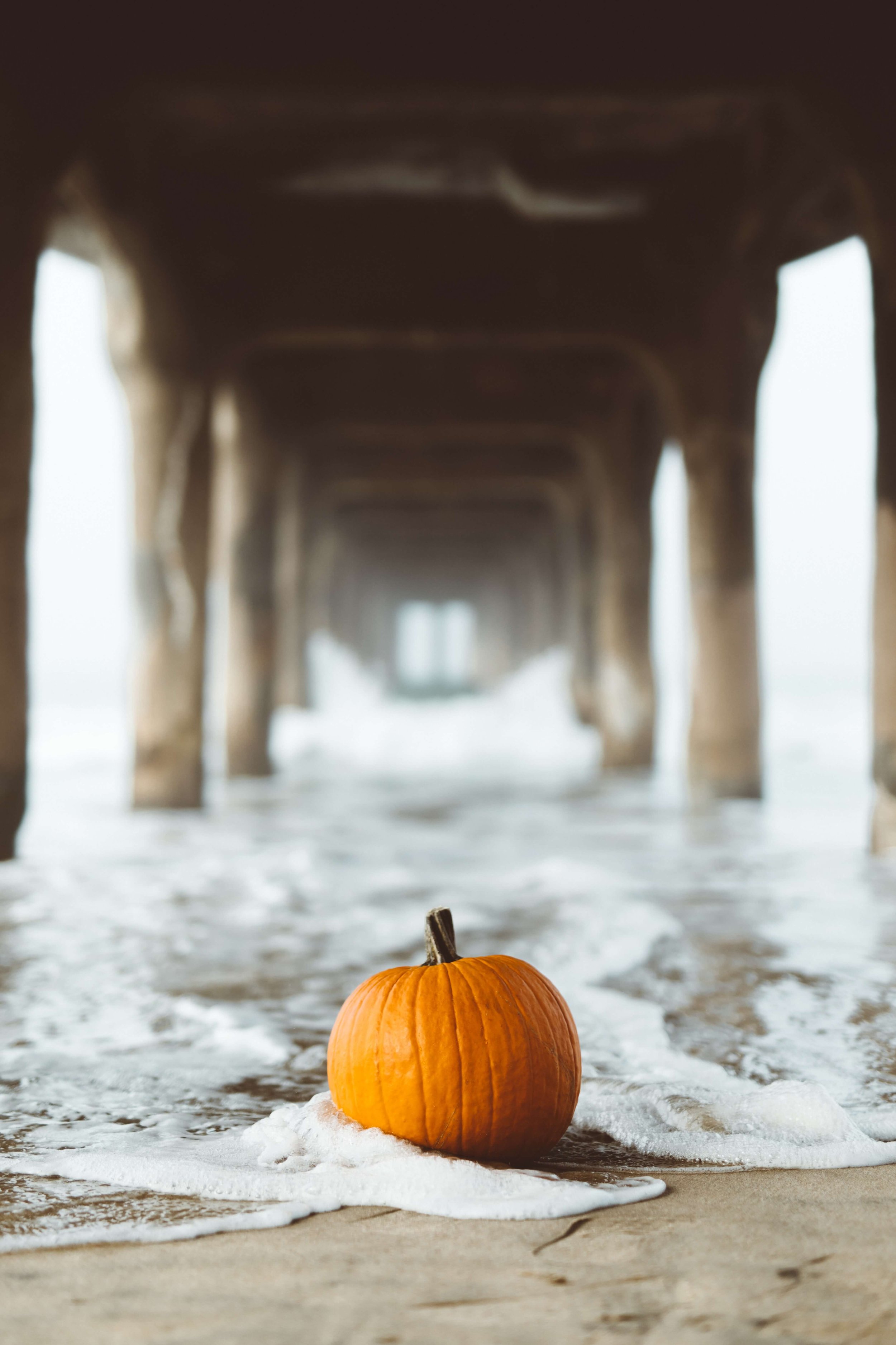 pumpkin coastal.jpg