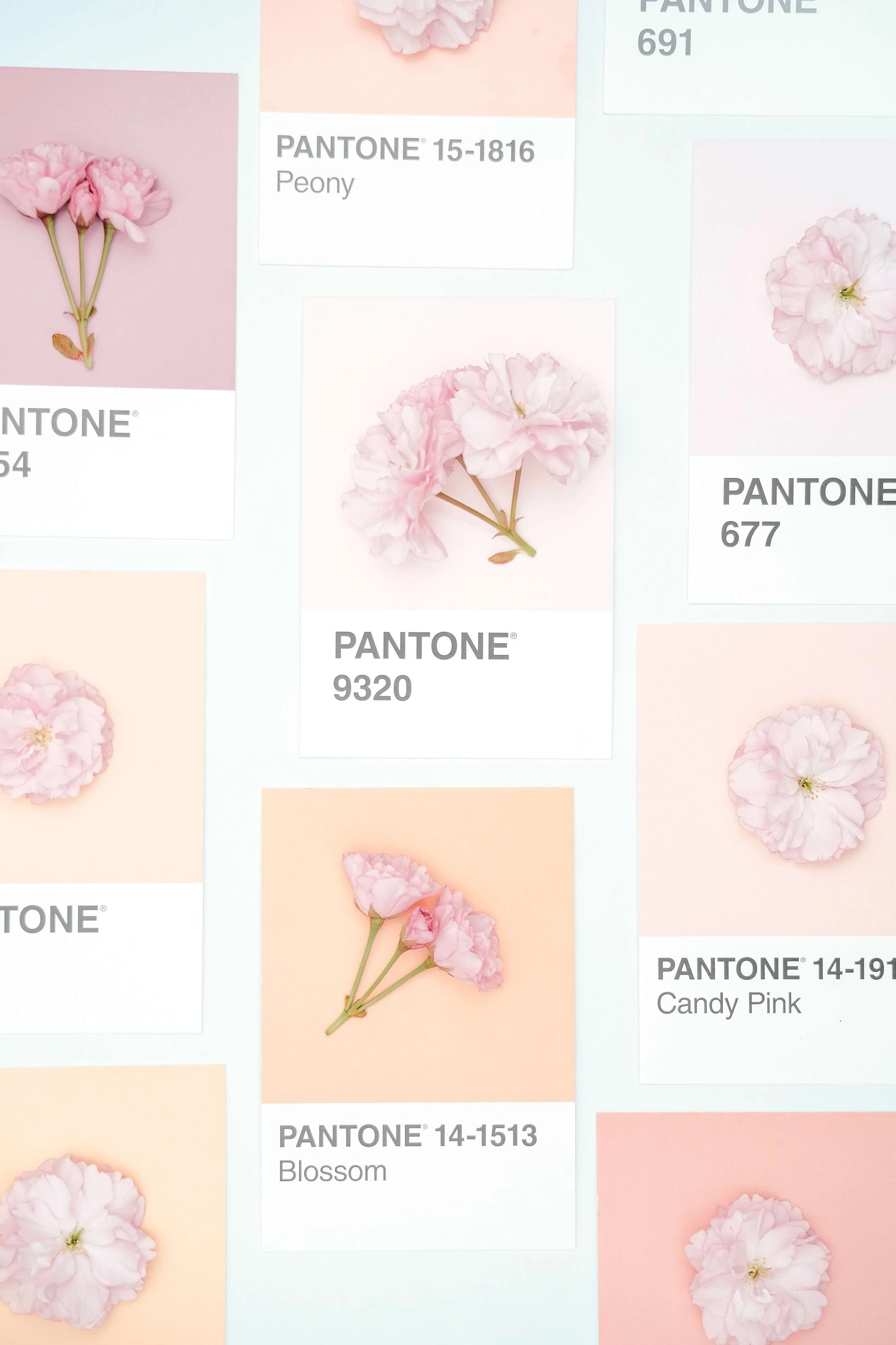 pantone colours pink hues.jpg