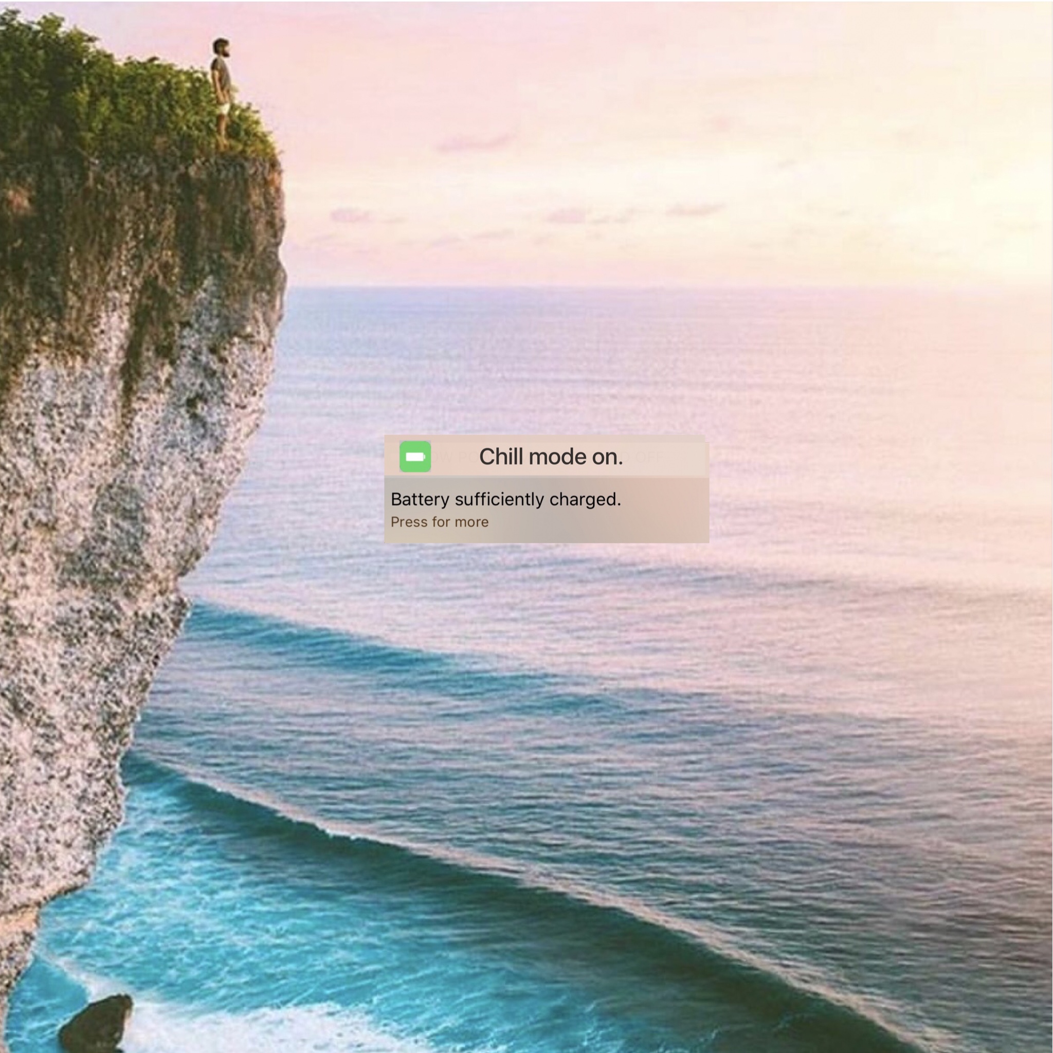 fullsizeoutput_f56.jpeg