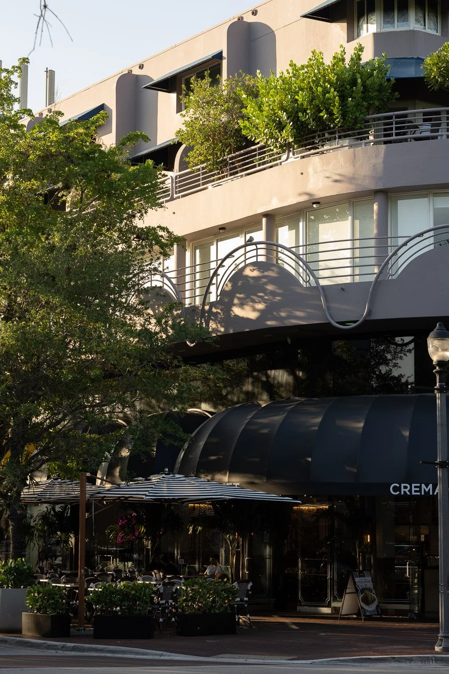 COCONUT GROVE DOG WALKS (6 of 14).JPG
