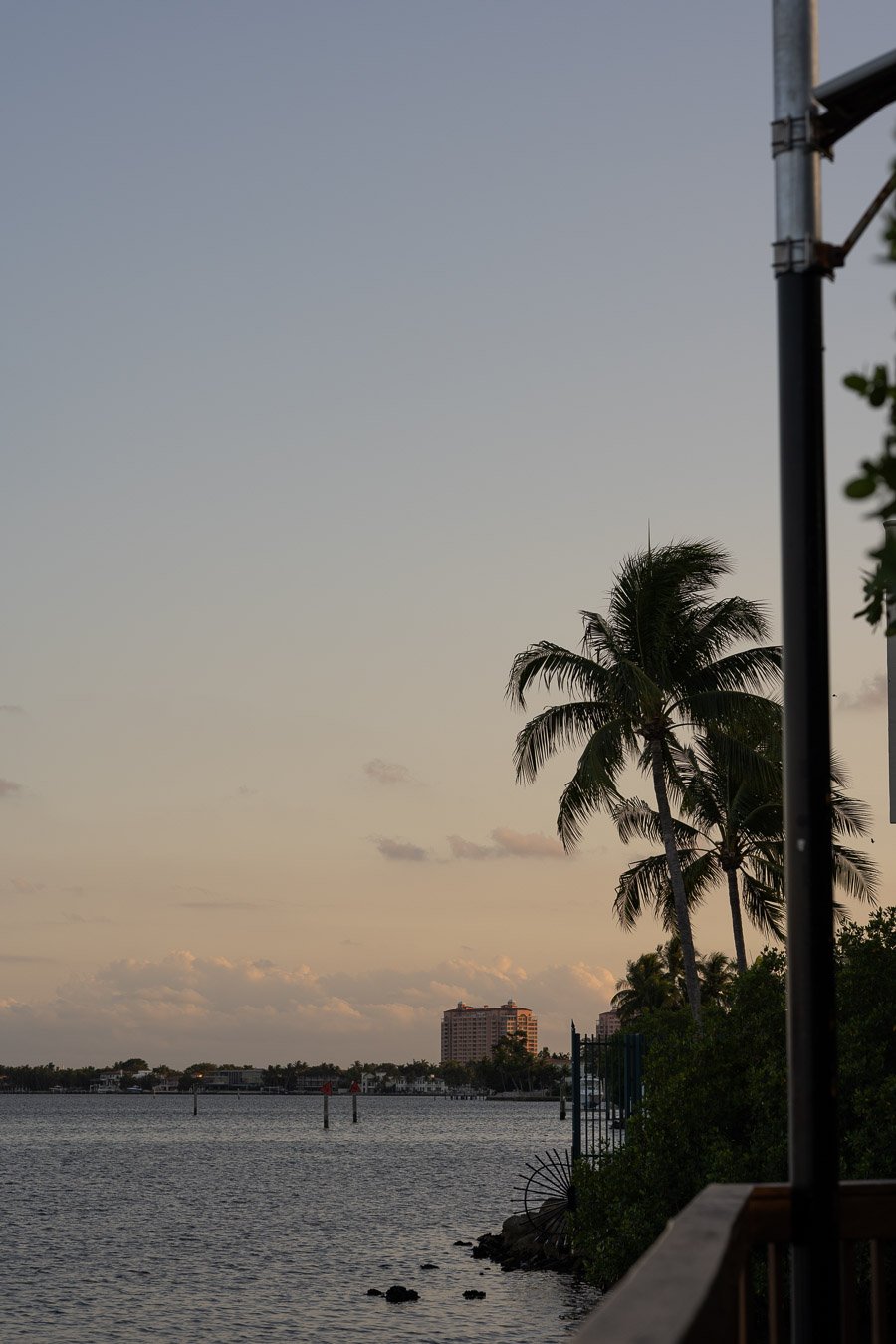 COCONUT GROVE DOG WALKS (11 of 14).JPG