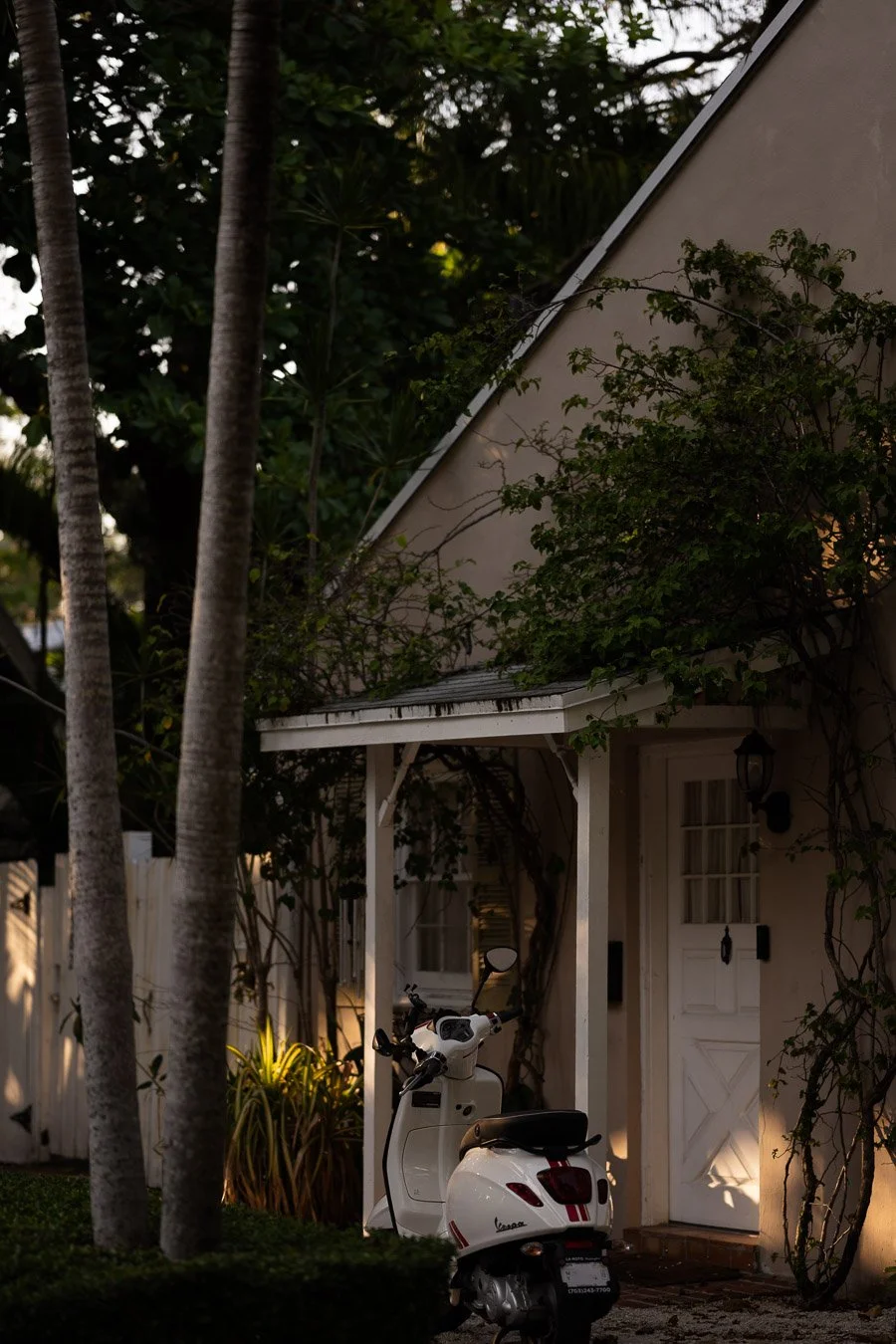 COCONUT GROVE DOG WALKS (5 of 14).JPG