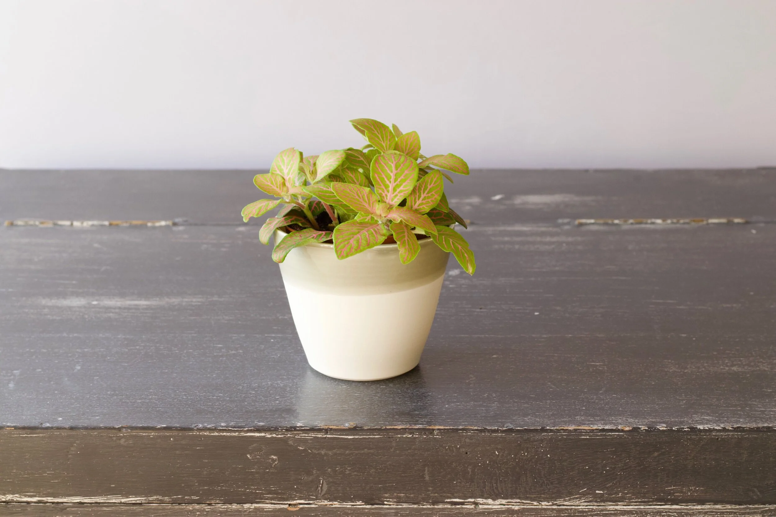 B11F511A-823D-4B1A-ABDC-97DC0C45F76B