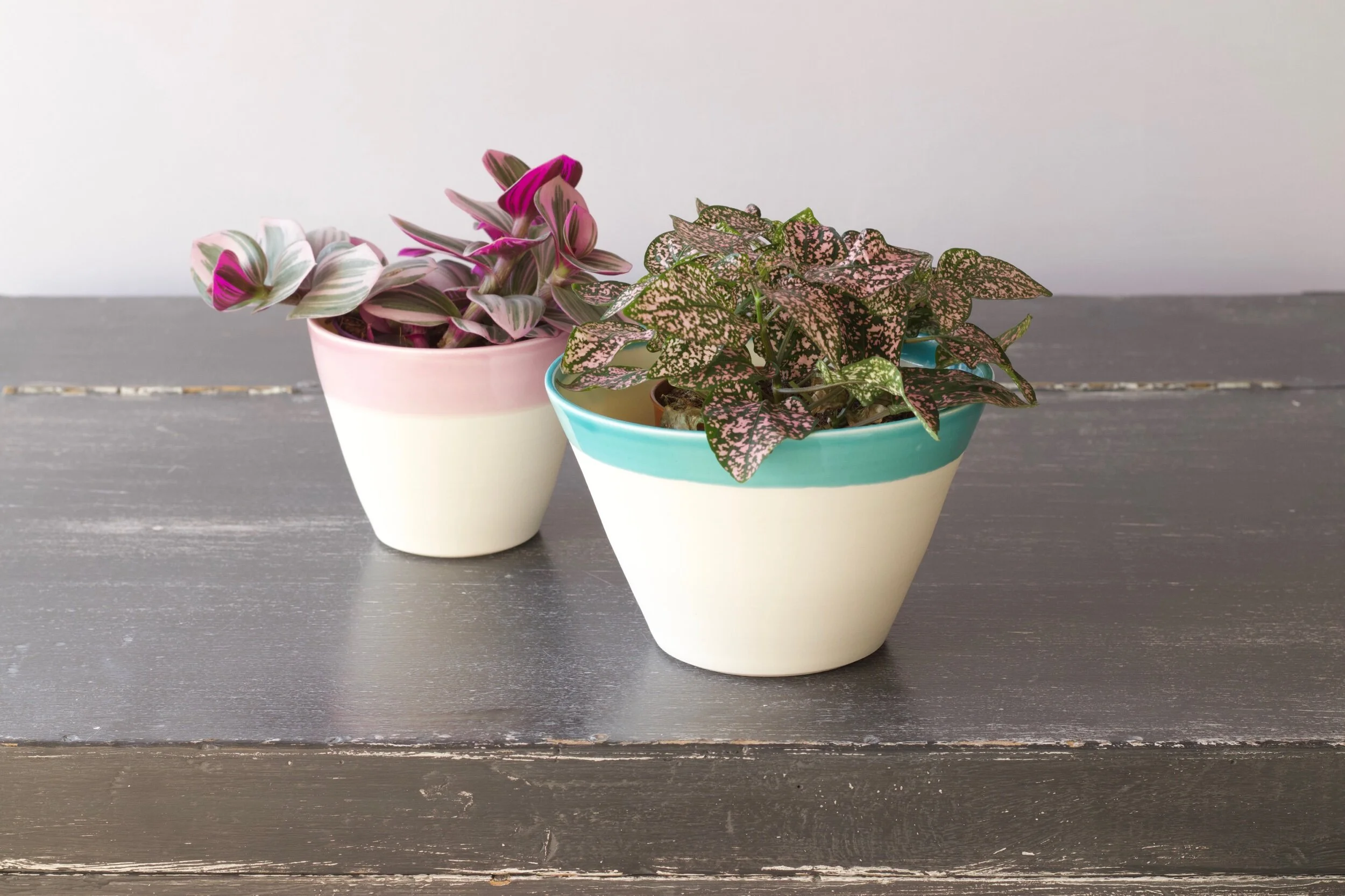 A7183F01-9619-4551-BBDC-1F7435E7A992