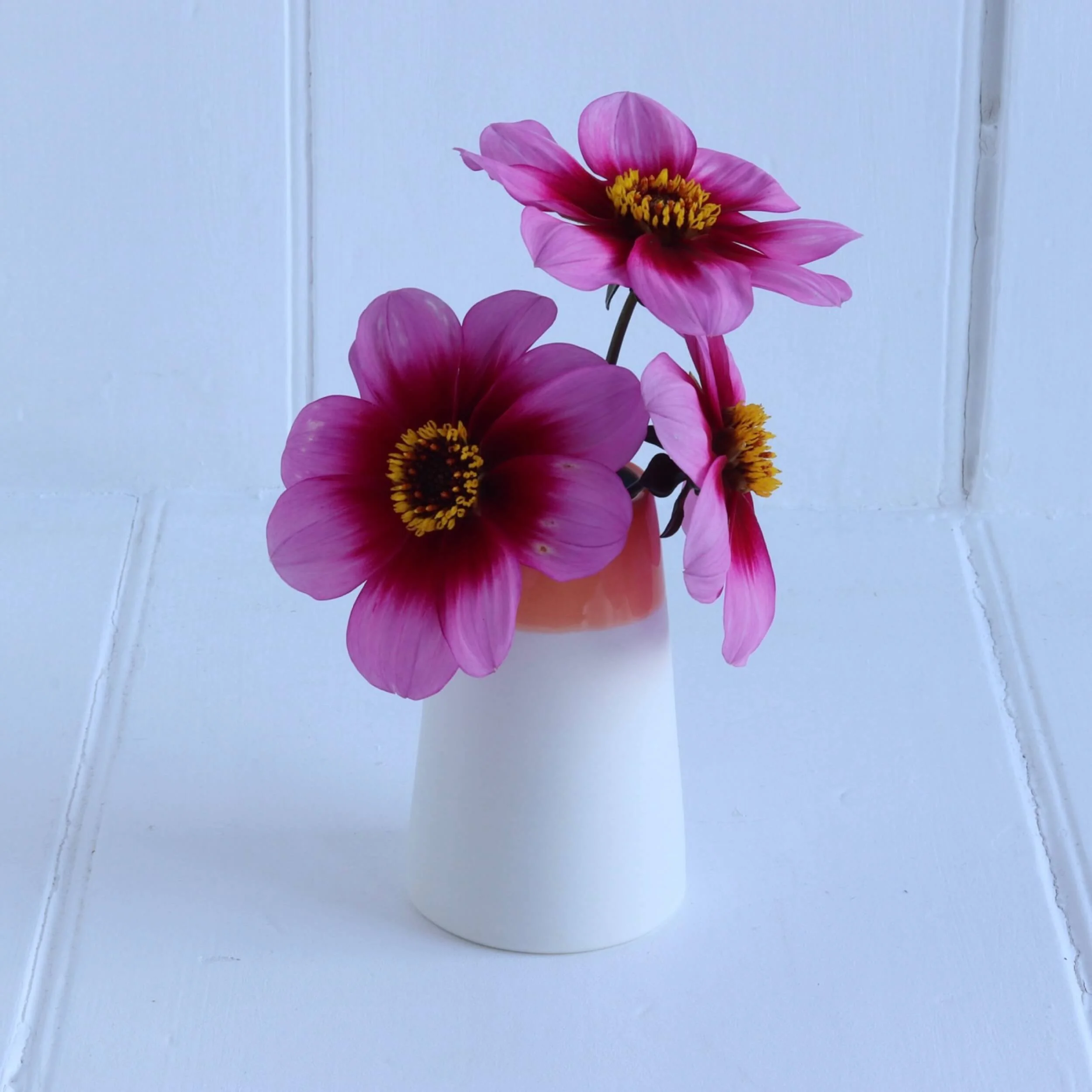 Hibiscus-orange-porcelain-bud-vase-5-penny-spooner-ceramics.JPG