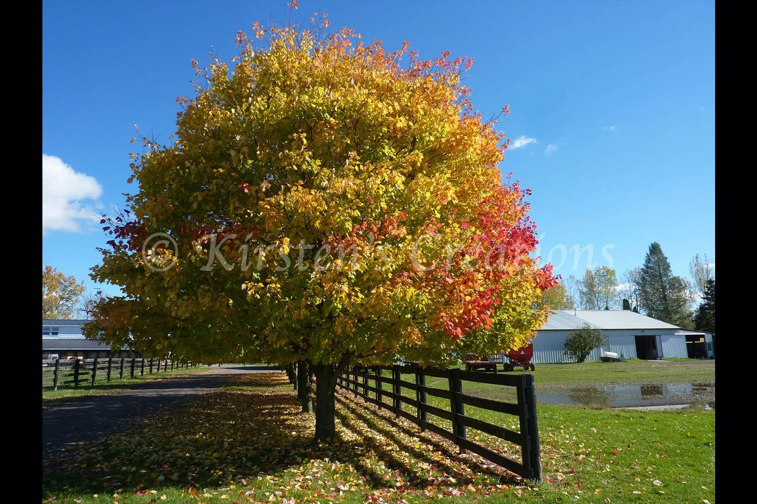 fall-on-the-farm-2x3.jpg