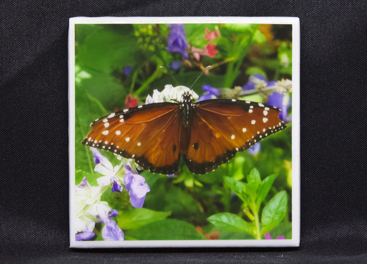 coaster.queen.flowers.jpg