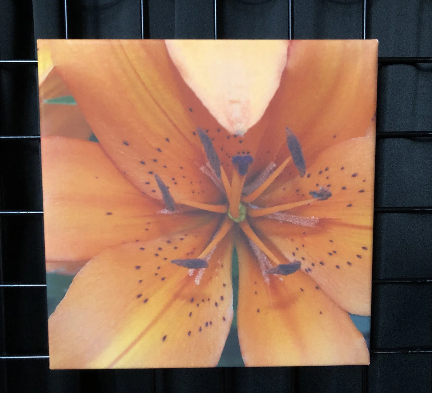 canvas-orange-lilies.jpg