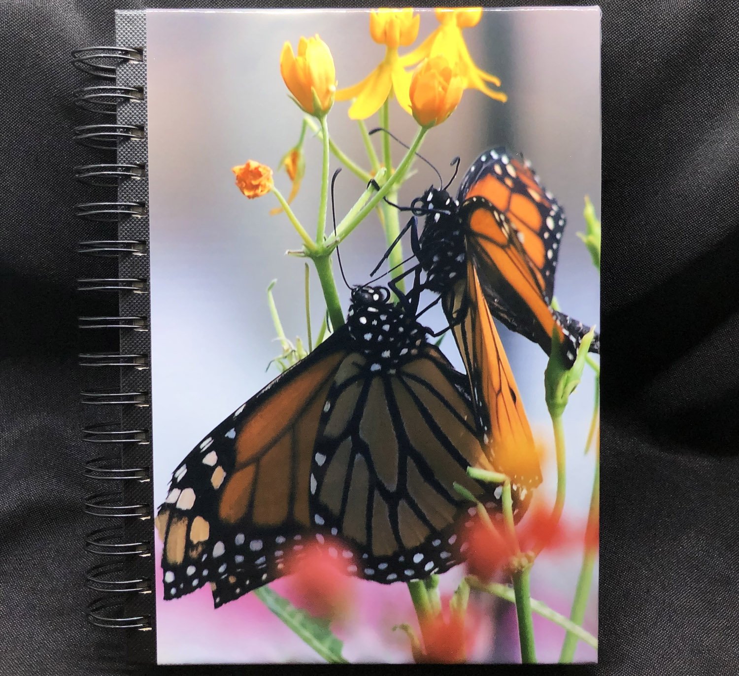 sketchbook-2monarchs.jpg