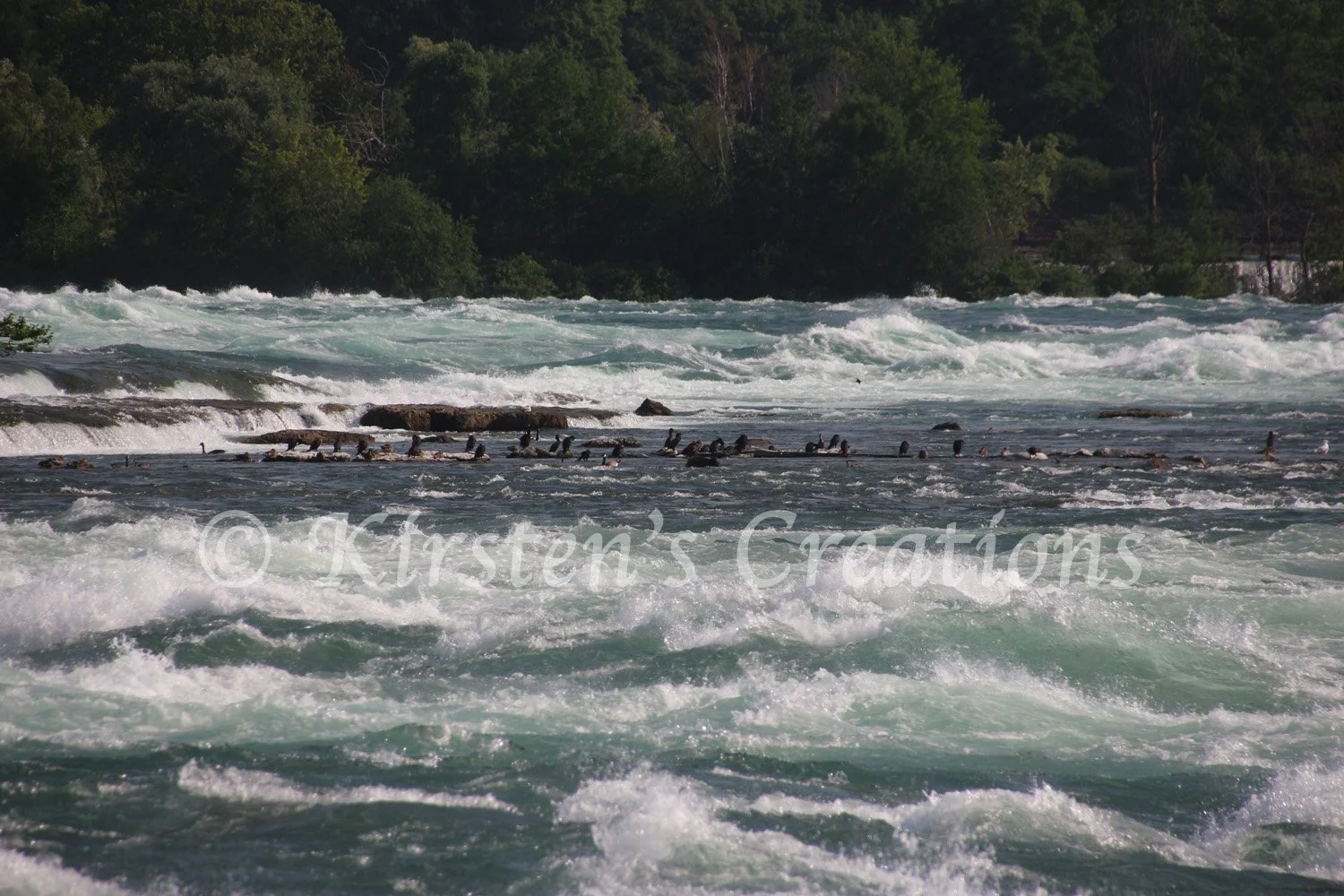 Calm Amidst The Raging Waters