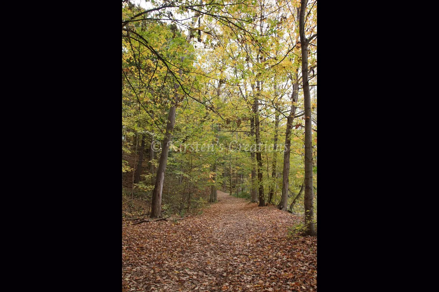 leaf-covered-walk-2x3.jpg