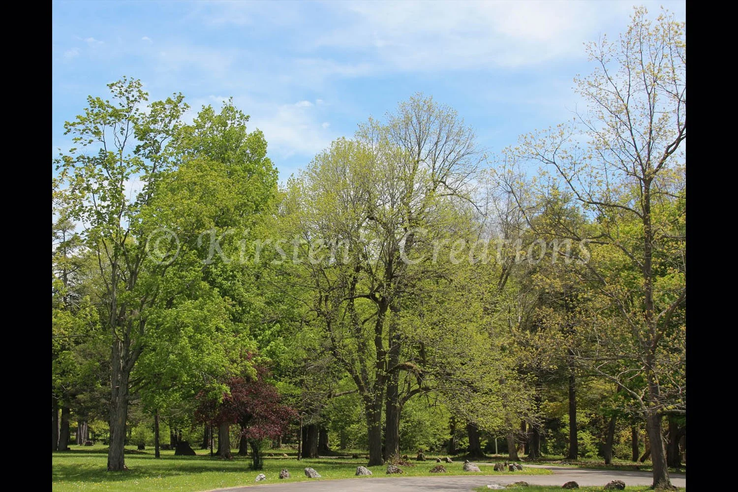 spring-in-full-swing-akron-park-2x3.jpg