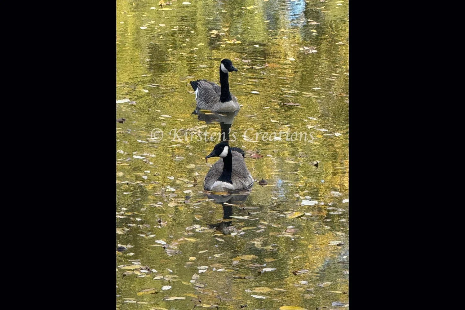 golden-water-geese-2x3.jpg