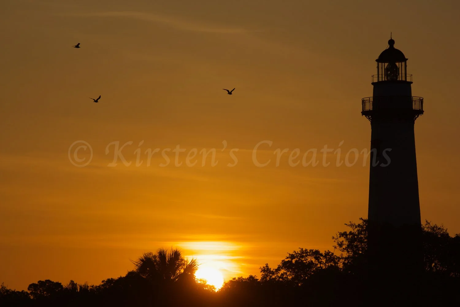 St Simons Sunrise w Birds-watermarked.jpg