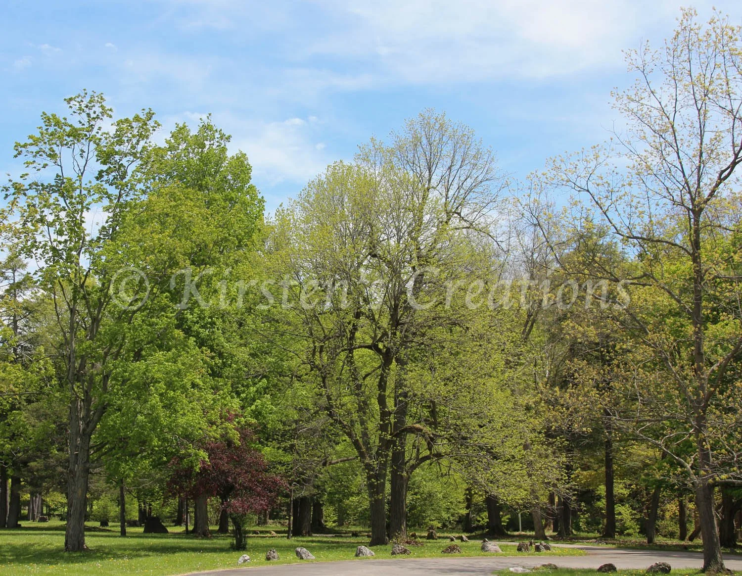 spring-in-full-swing-at-akron-park.jpg