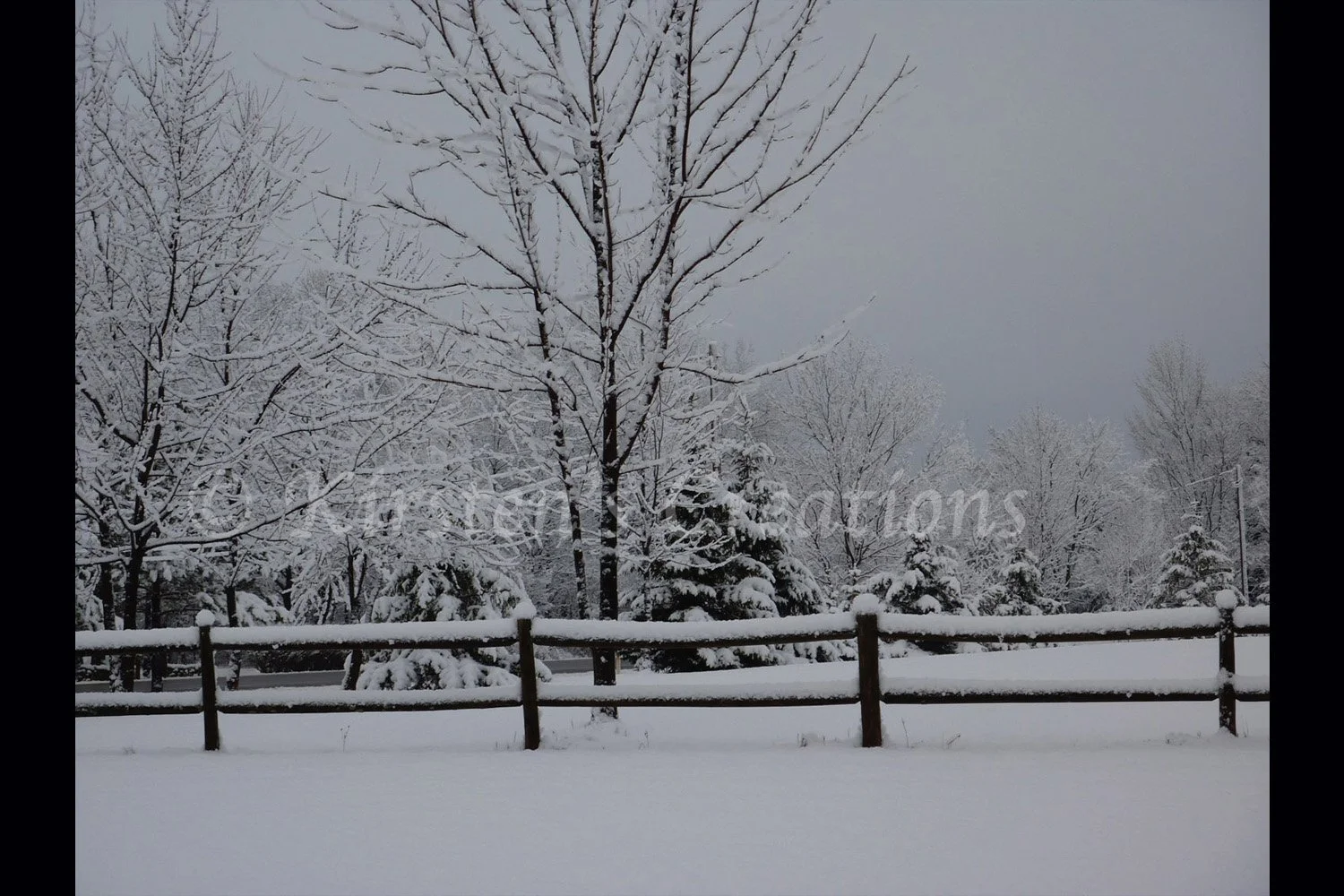 Winter Fence