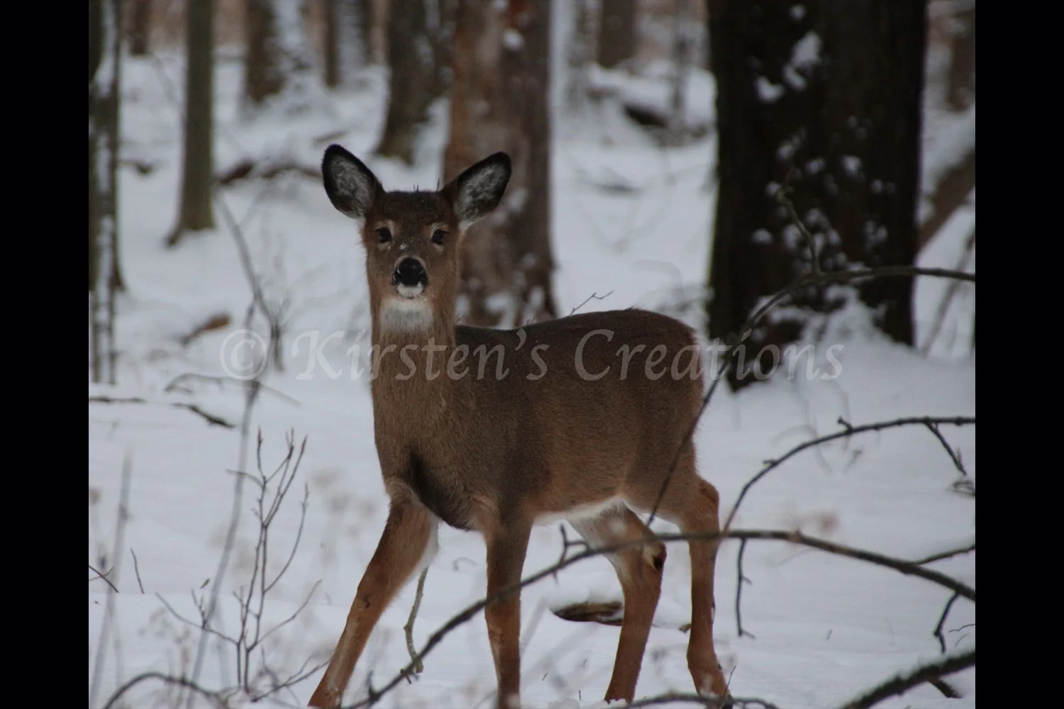 heres-looking-at-you-2x3.jpg