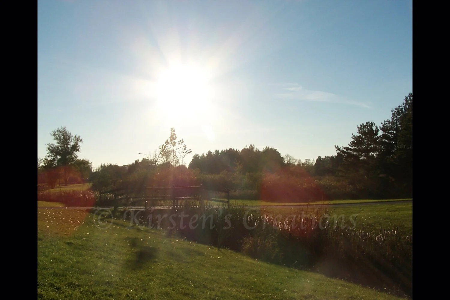 park-in-sun-rays-2x3.jpg