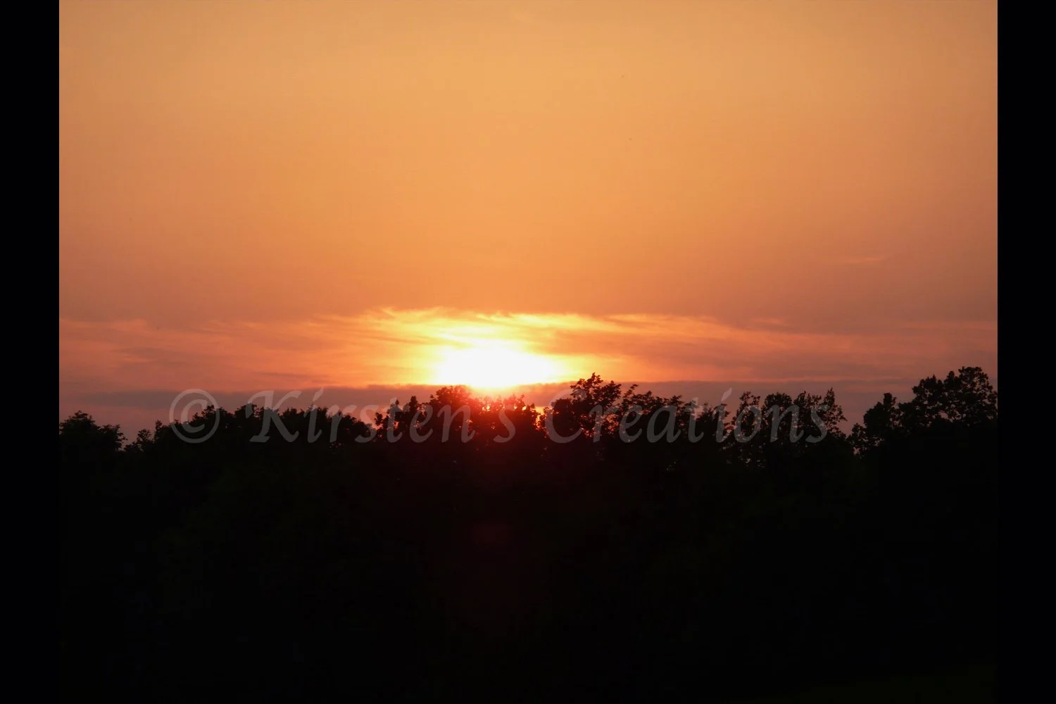 Sunset Above the Treetops