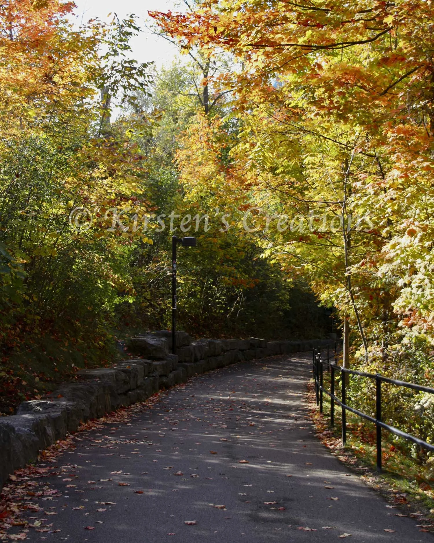 Fall Walk To Luna Island