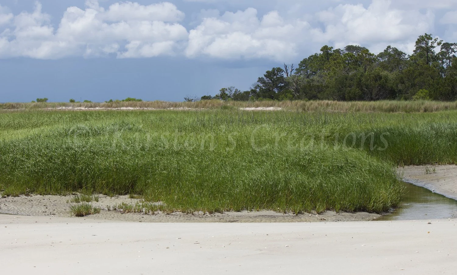 marsh-on-the-beach.jpg